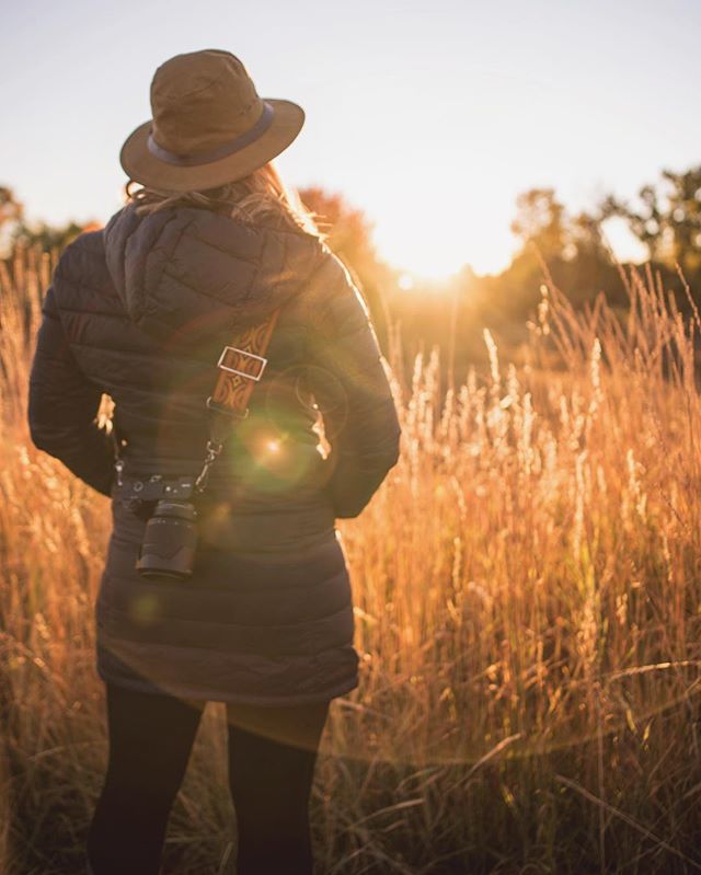 Golden fields, golden hour.