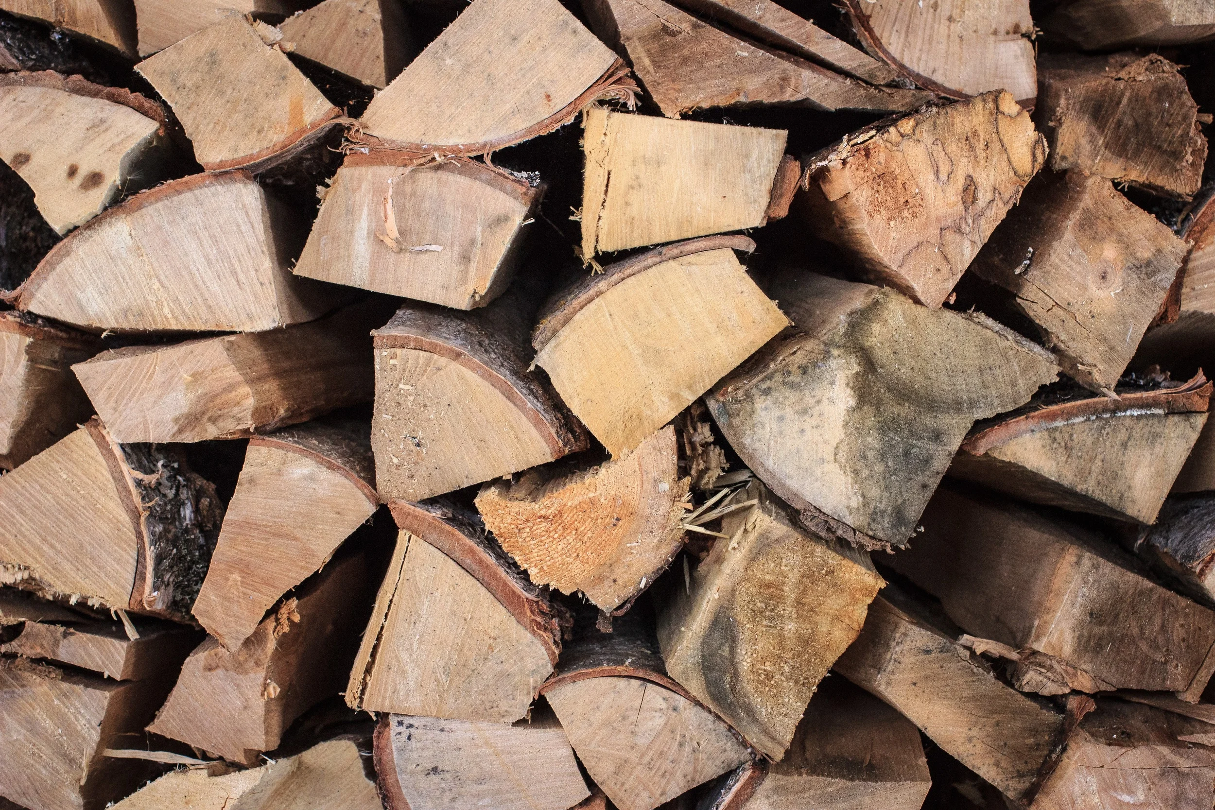 tree-cutting.jpg