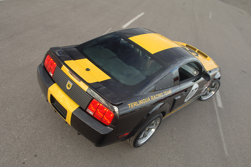 Mustang021.jpg