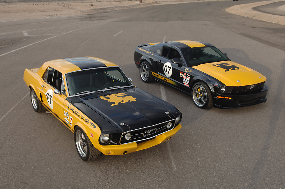 Mustang023.jpg