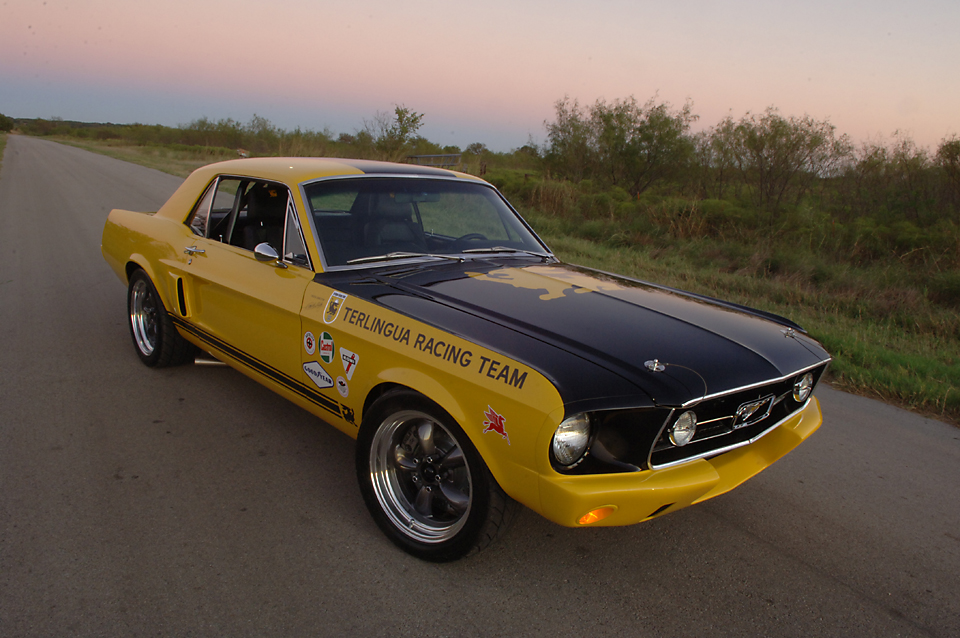 Mustang029.jpg