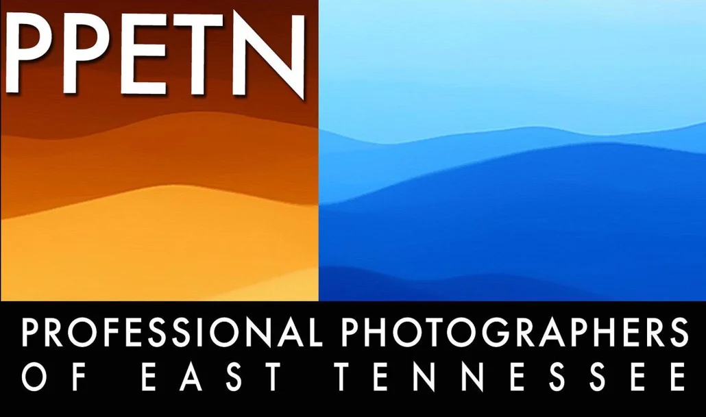 PPETN-logo_web-1030x609.jpg