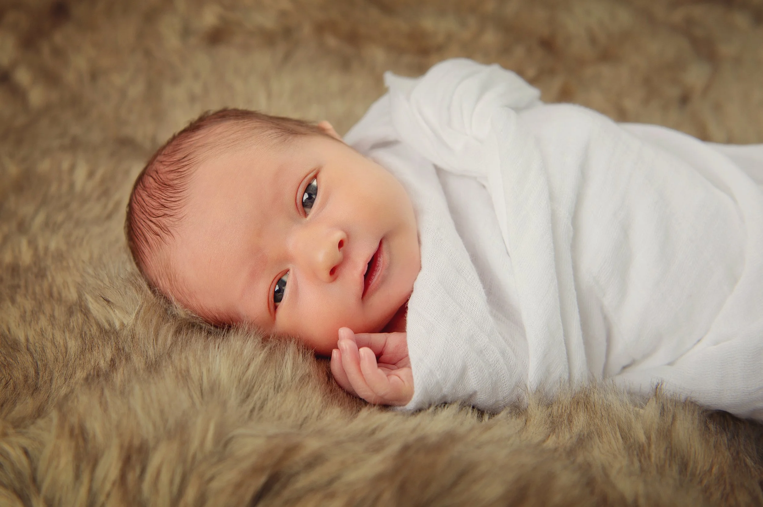 Reed Newborn SS-1.jpg