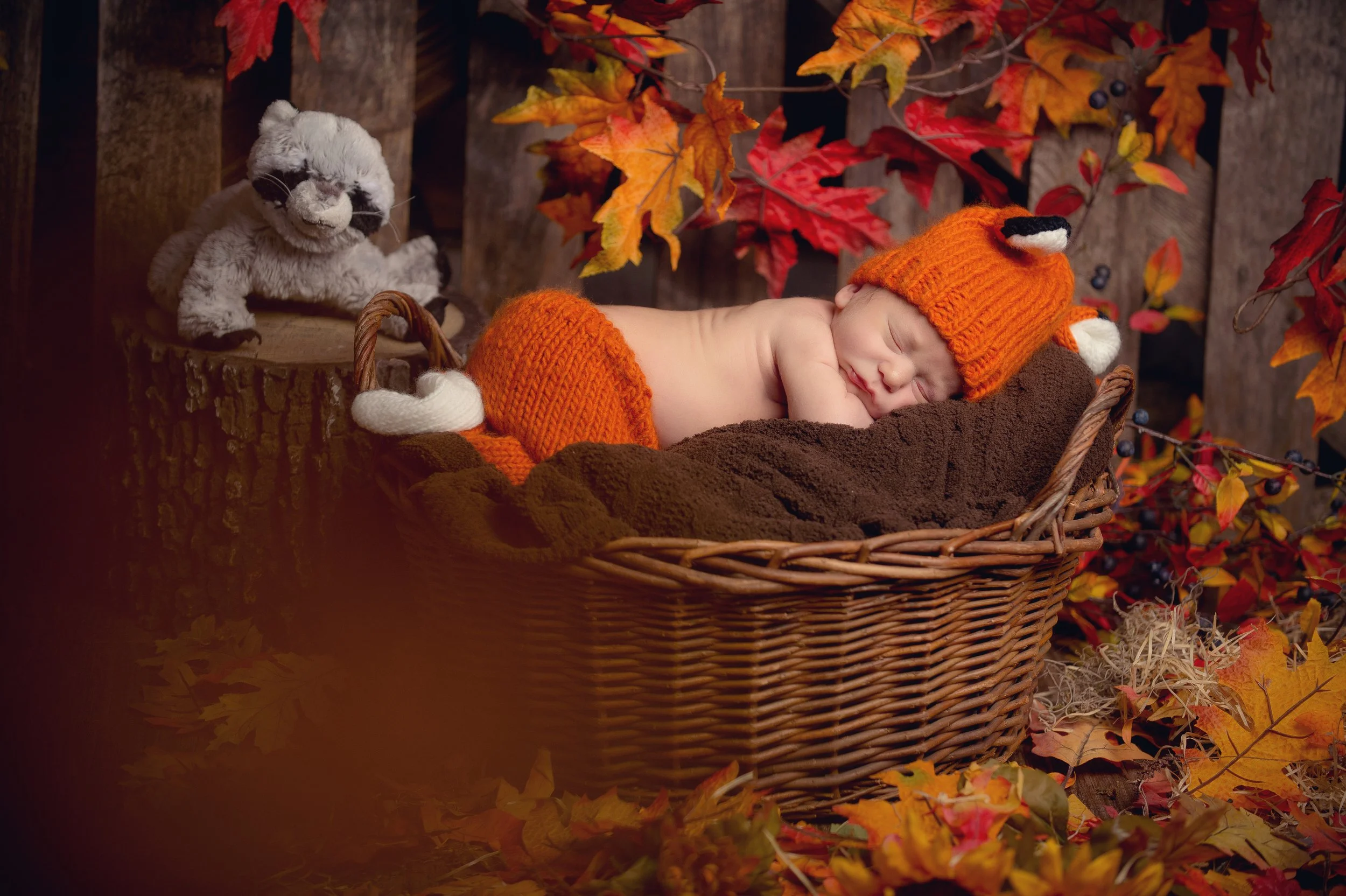 Stephens Newborn-33.jpg