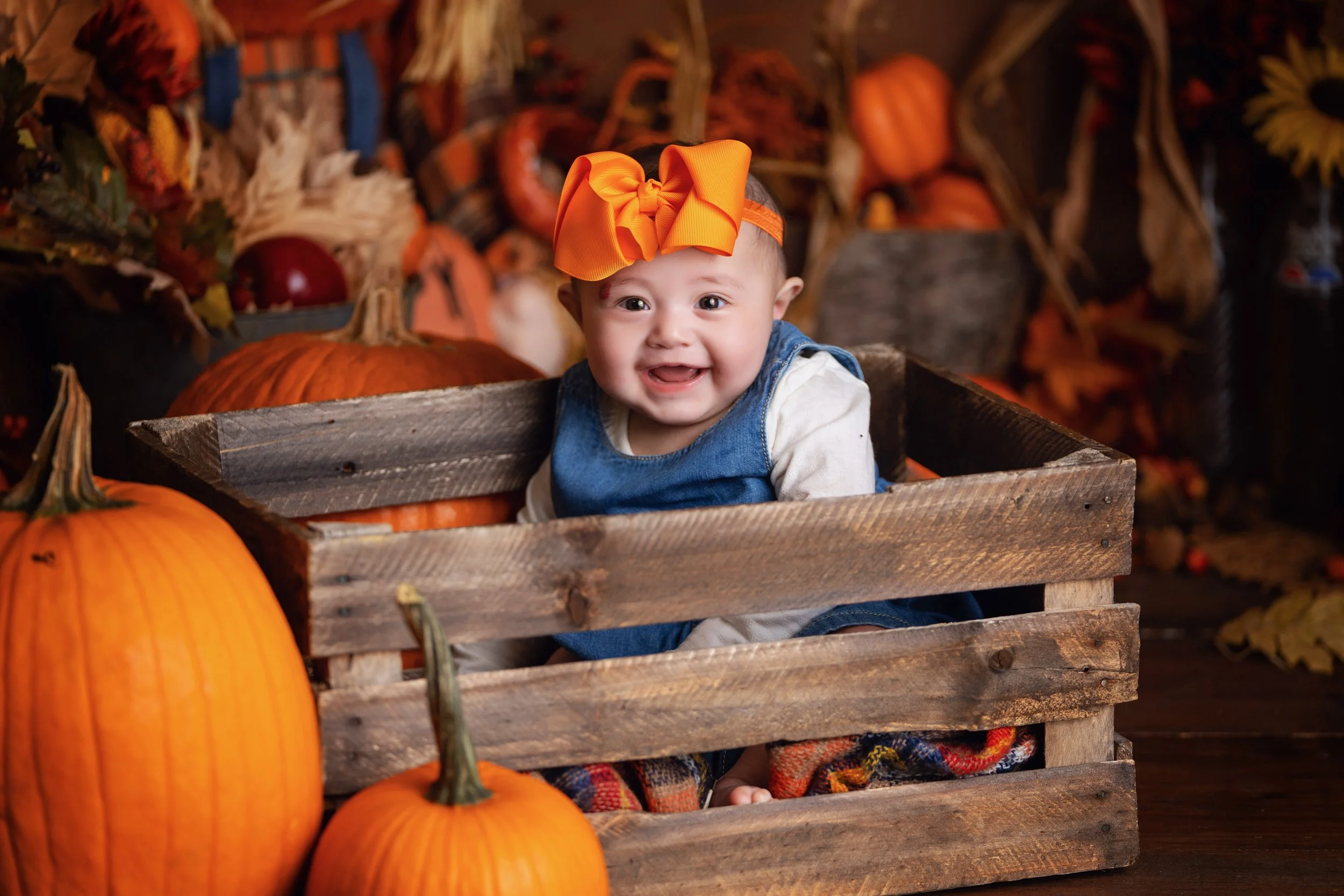Weaver Pumpkin Patch-16.jpg