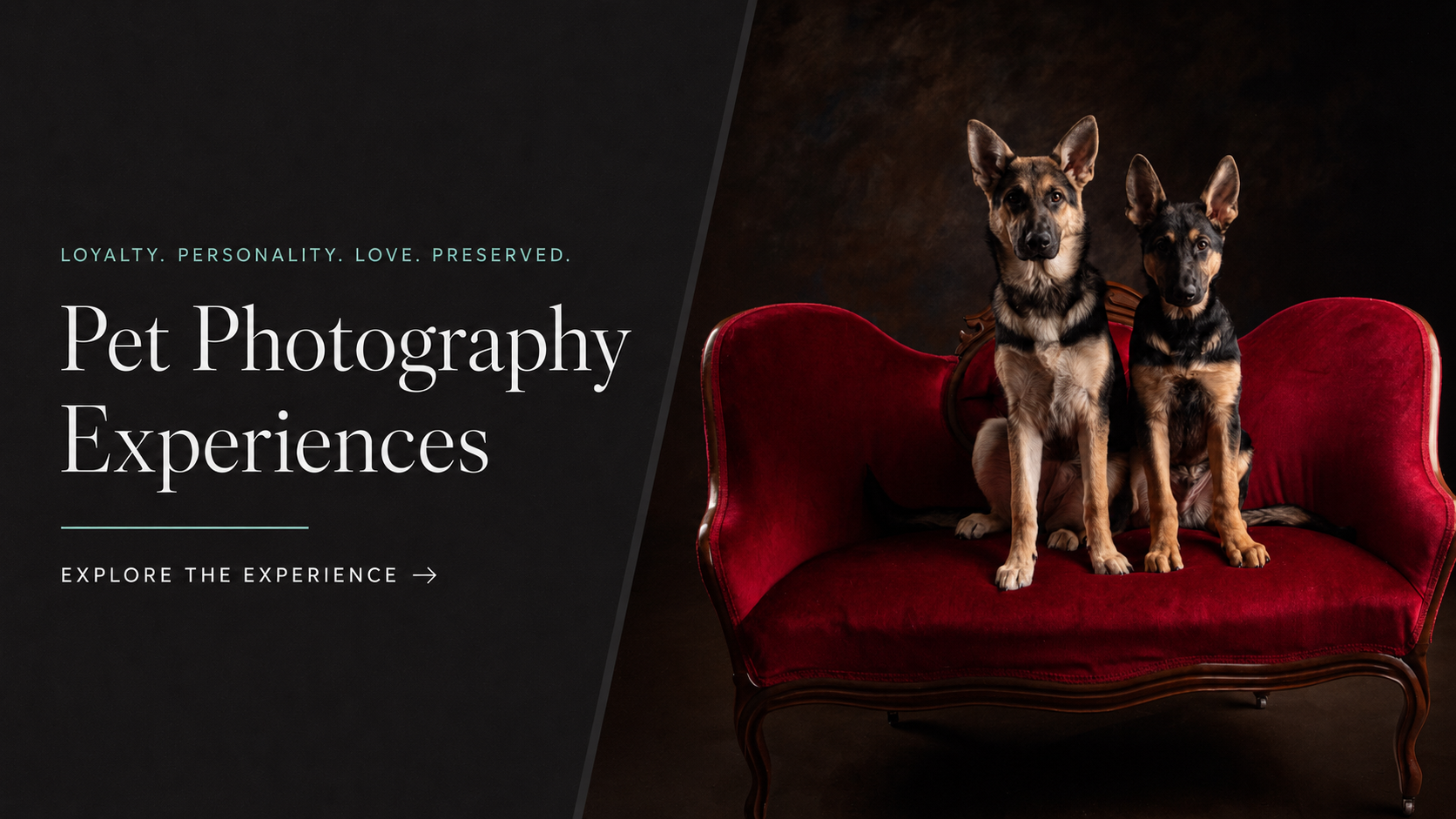 Two dogs sitting on a red vintage sofa against a dark background, with text promoting pet photography experiences and a call to explore the experience.