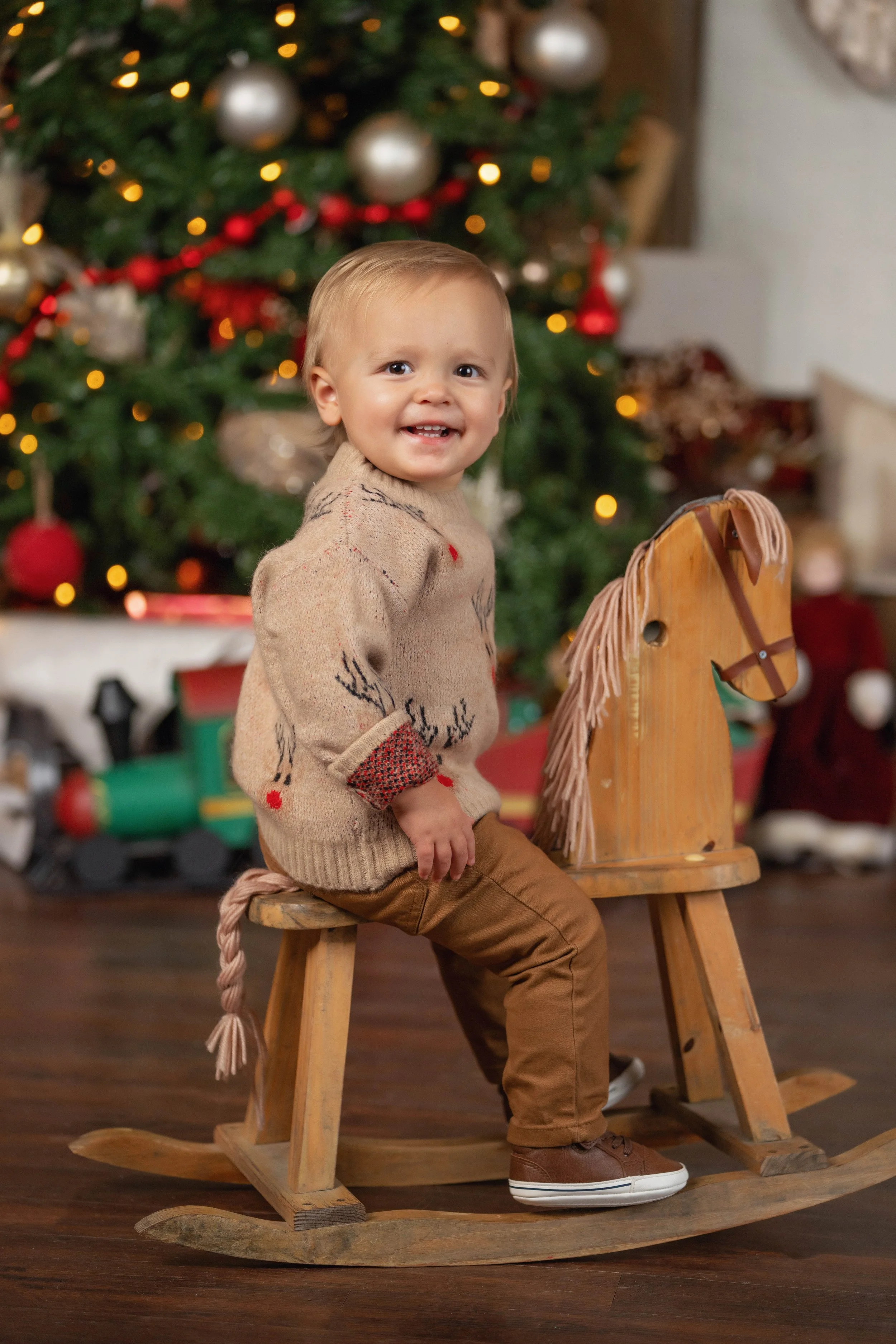 Chattanooga-Family-Photographer-Christmas-Holiday-Children-Baby-Photograrphy-Christmas-minis-Mini Session- North Georgia-48.jpg