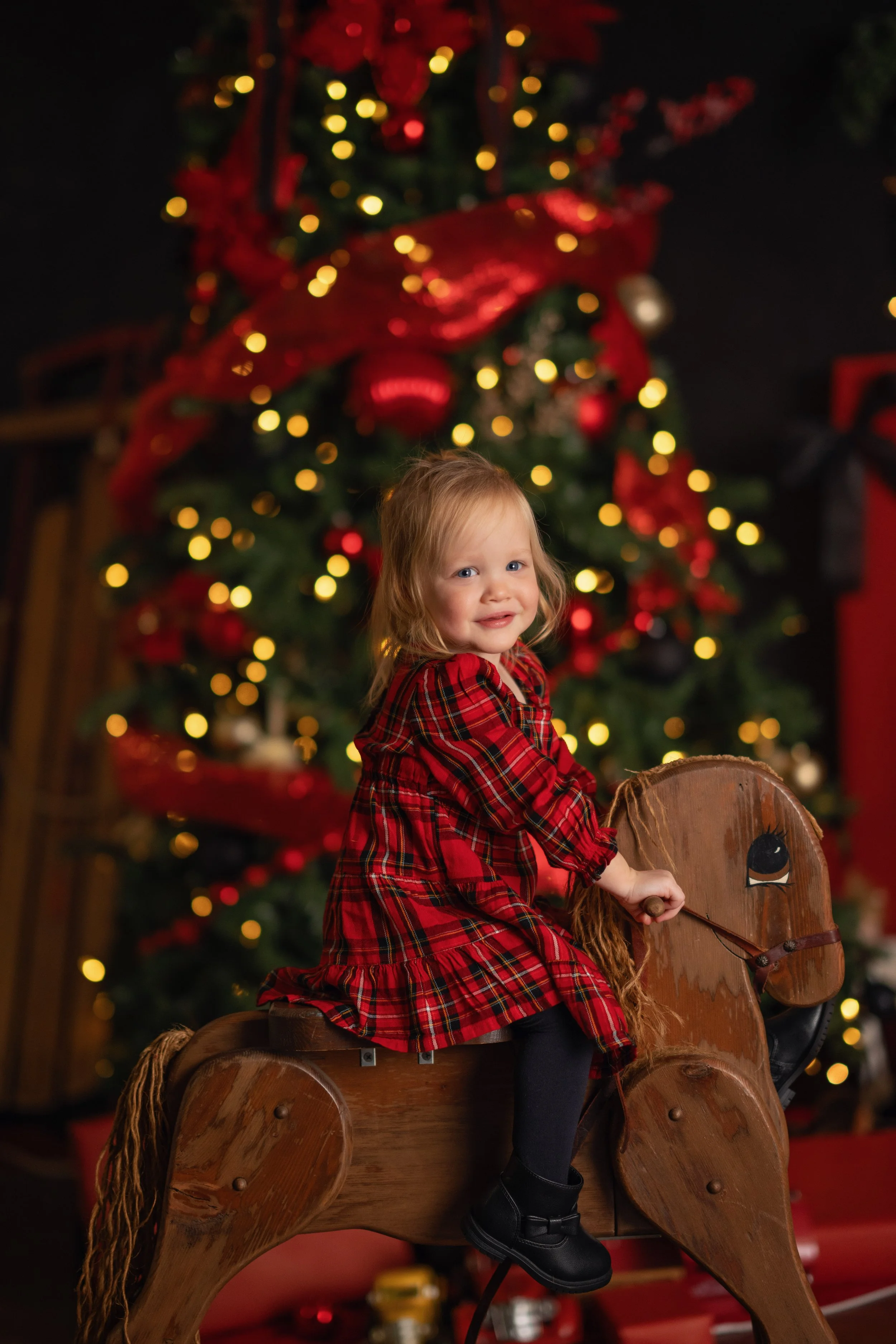 Chattanooga-Family-Photographer-Christmas-Holiday-Children-Baby-Photograrphy-Christmas-minis-Mini Session- North Georgia-31.jpg