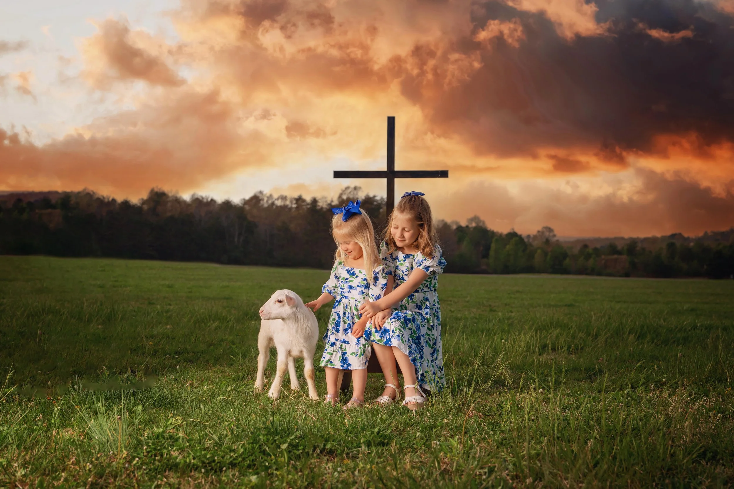 There Stood a Lamb Signature Session Saturday