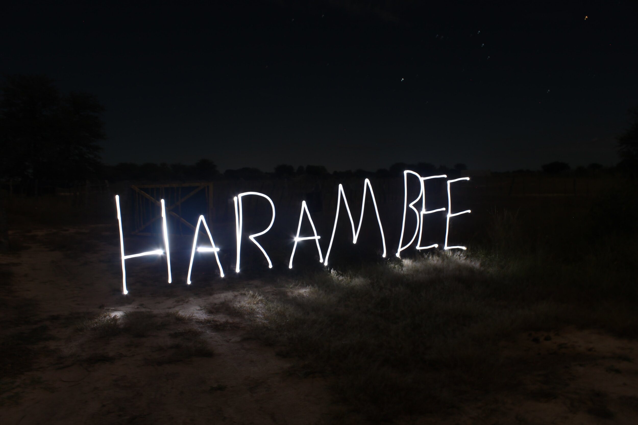 10.29 Harambe Challenge, Namibia, April 2017.jpg