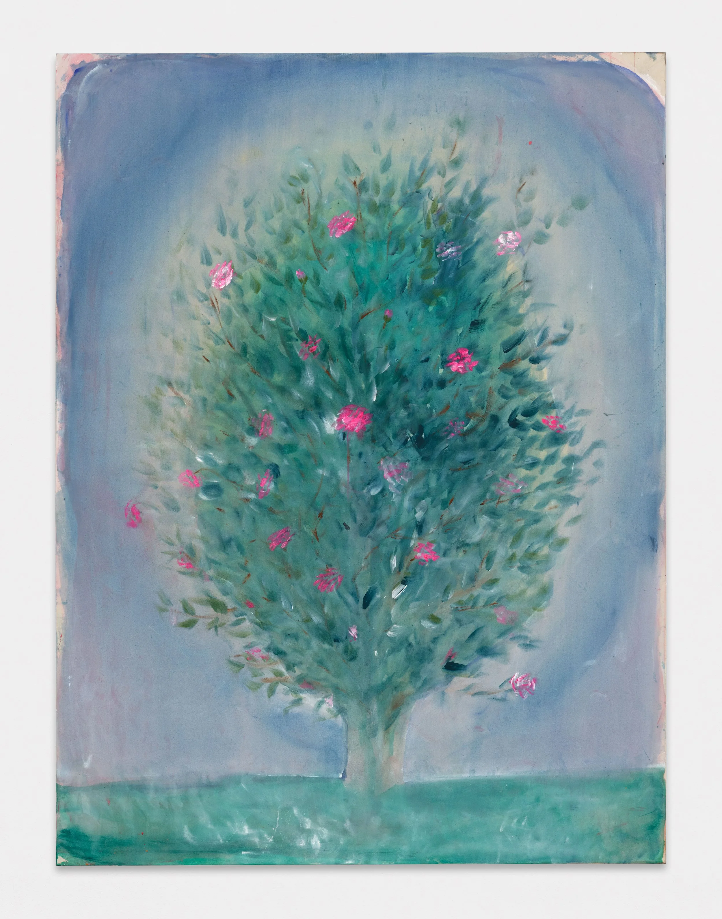 Walters_Camellia_2022.jpg