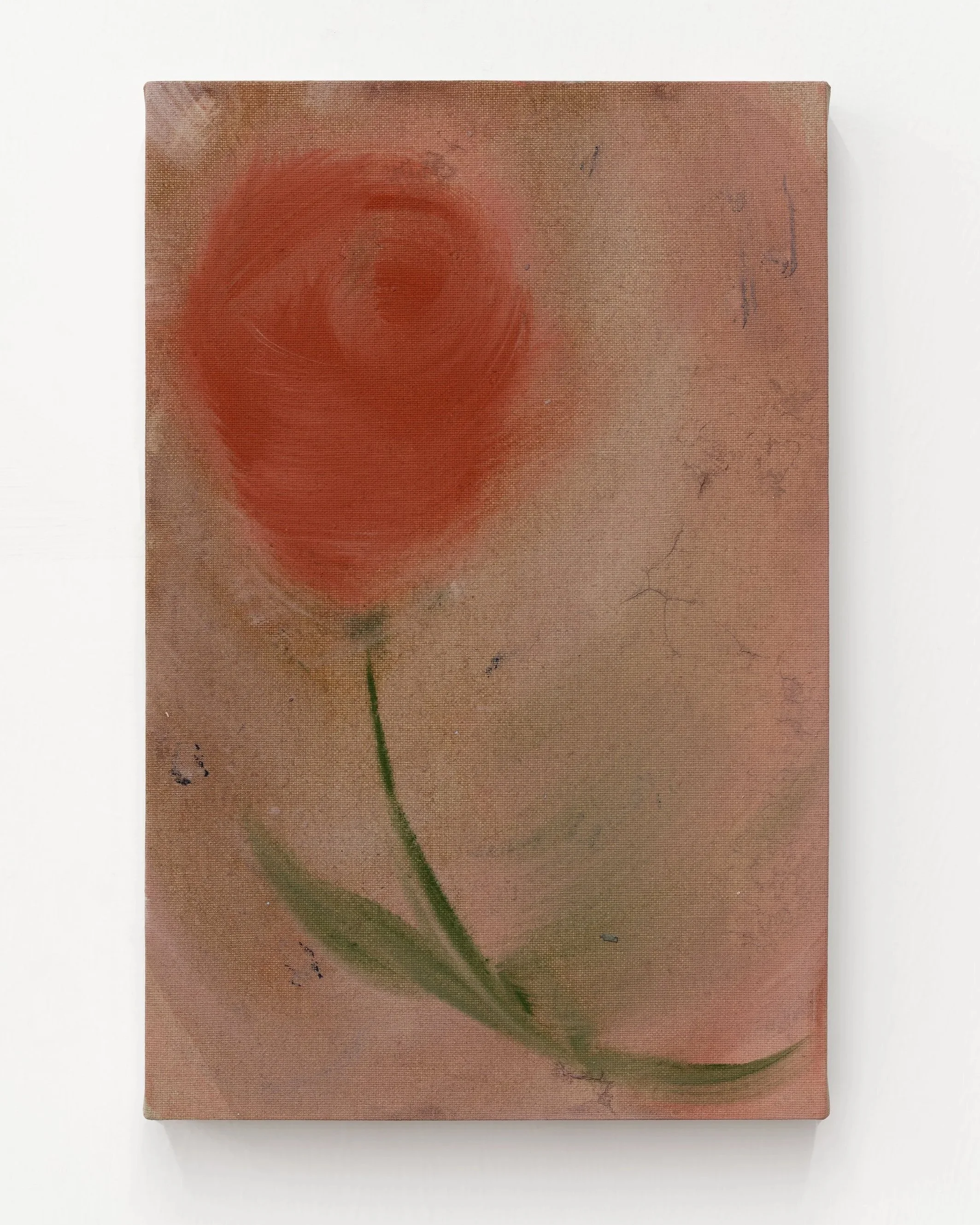 Coral+Rose%2C+2024.jpg