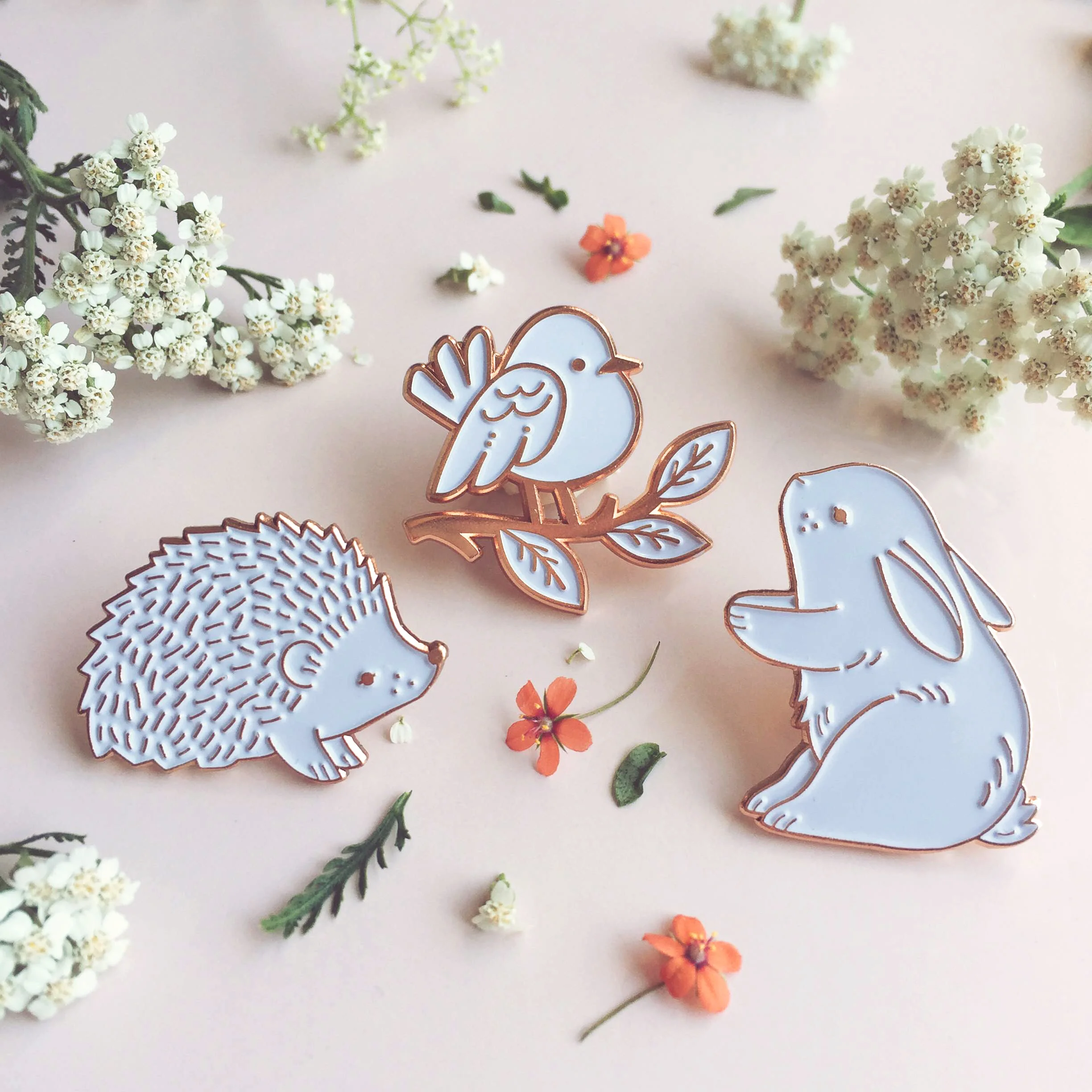 PINS-website.jpg