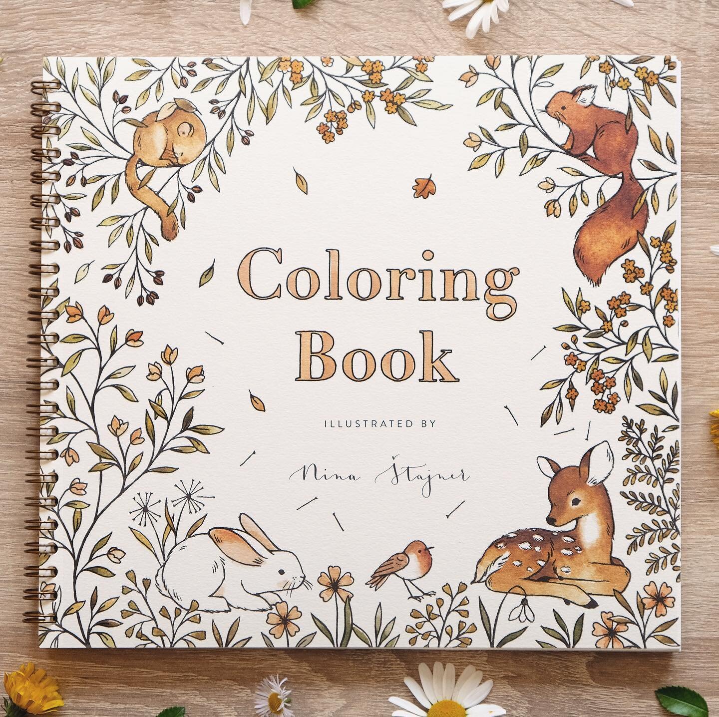 🍂While I was moving to another home &amp; studio I found a few more pieces of new and old coloring books (like less then 10 of each version). 🤎 So I&rsquo;ve also listed those in my Etsy shop, but they won&rsquo;t last I&rsquo;m afraid. 🐻But if yo
