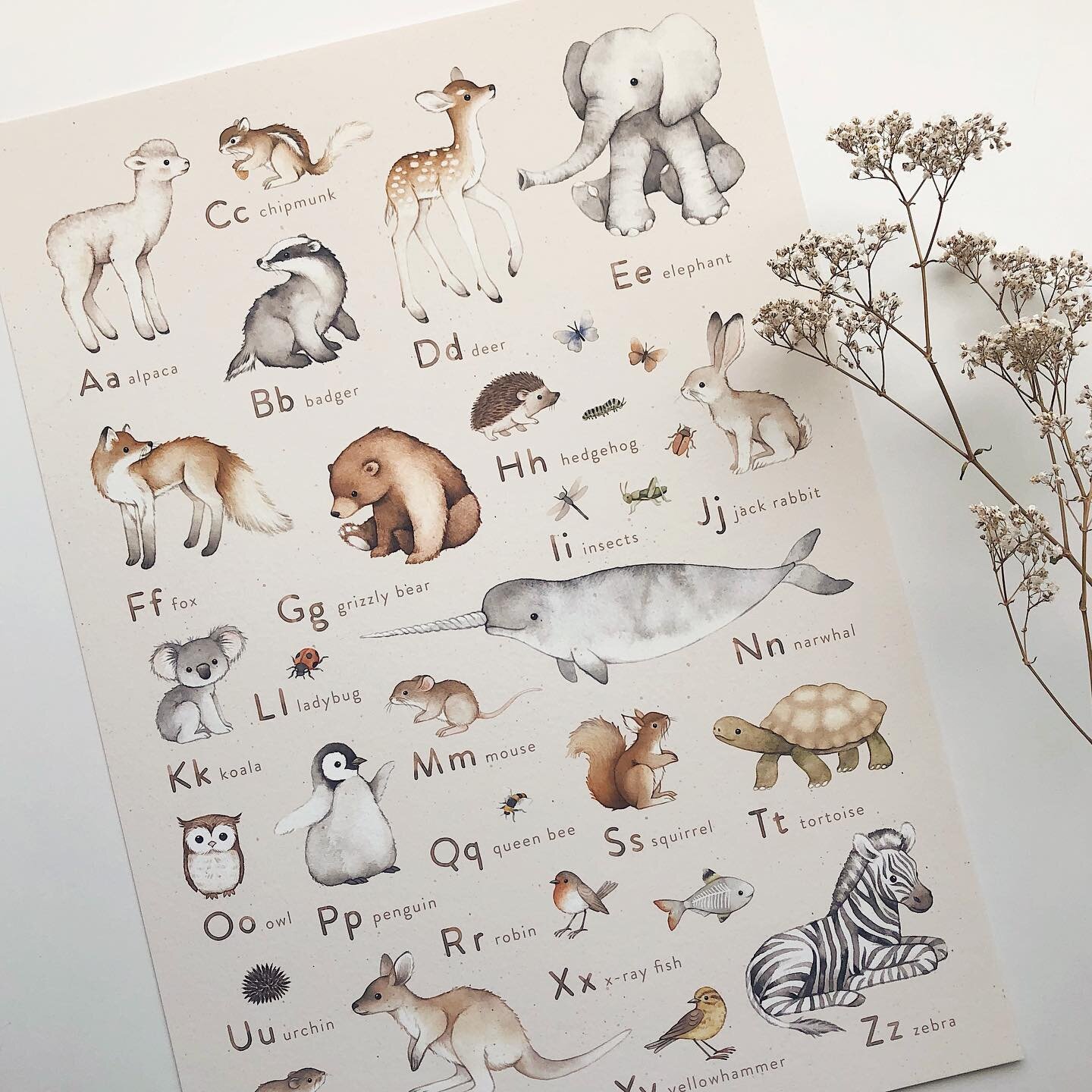First printed Animal ABC poster in English 🦋🐛🐢🦉🐛🦘🦌🐇🦓! Very gender neutral and also a bit educational🤓. I will try to make other languages as well, but during translations animals have different names so somewhere I&rsquo;ll have to paint a 