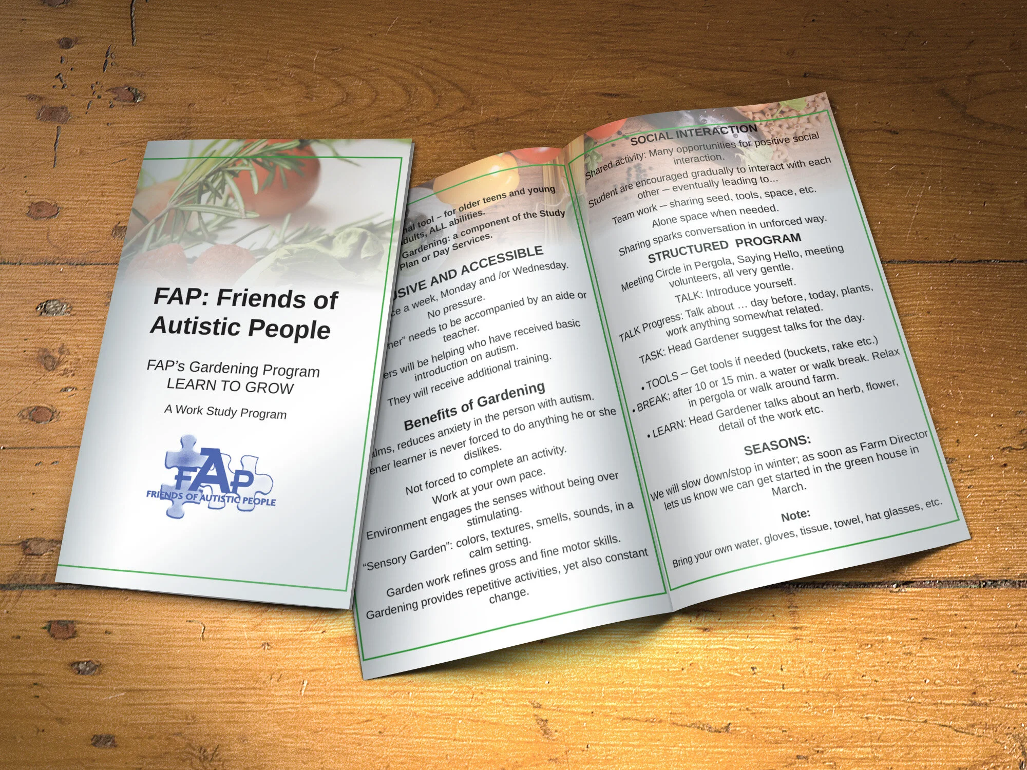 Bifold-mockup.fap.jpg