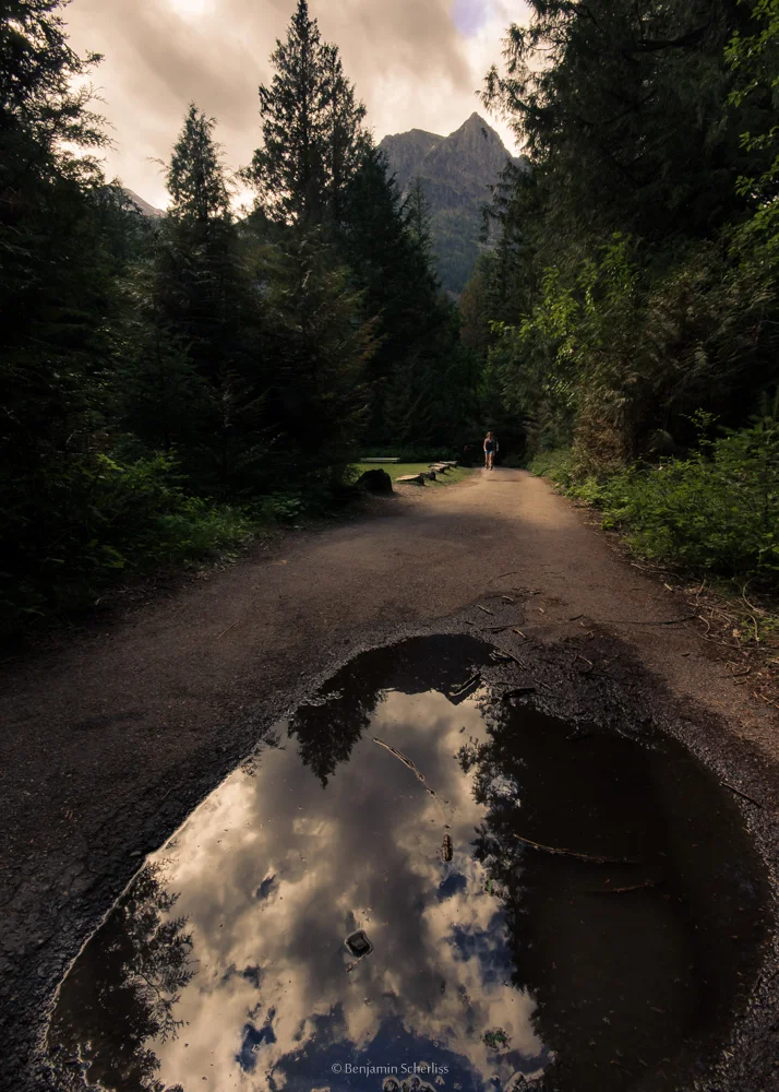 Find Your Own Path