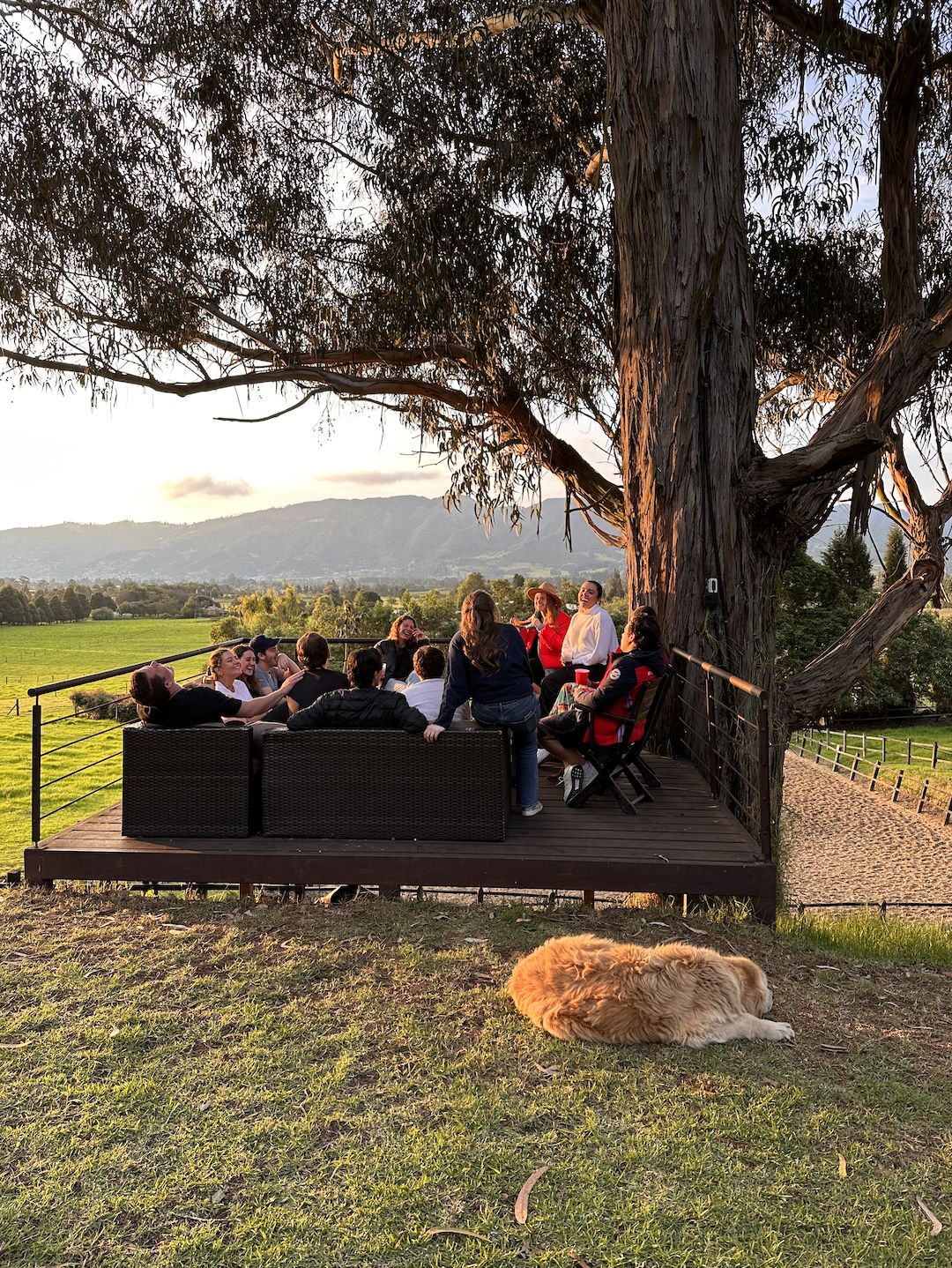 Screen Shot 2024-04-11 at 12.12.32 PM.png