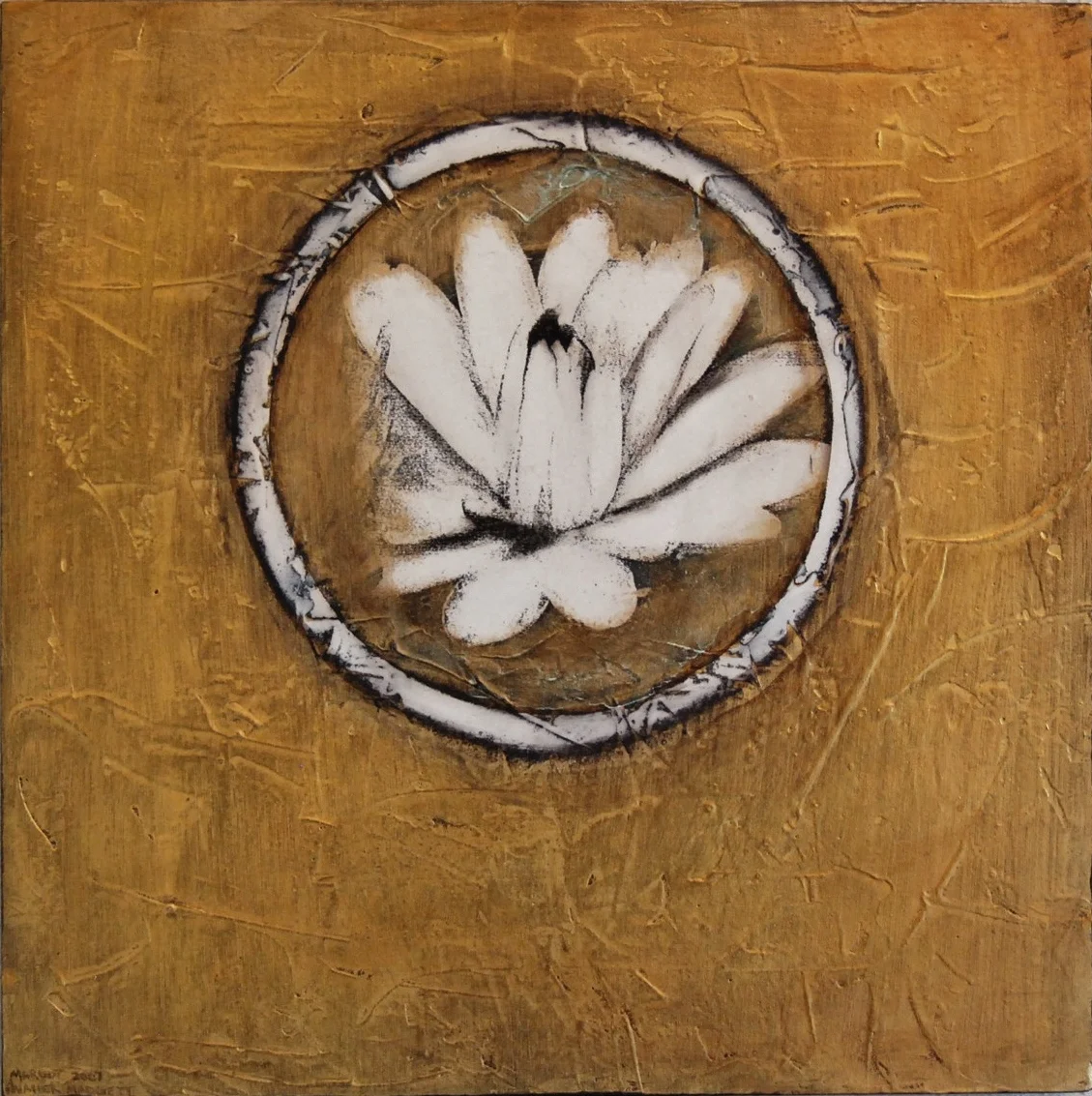 Lotus series