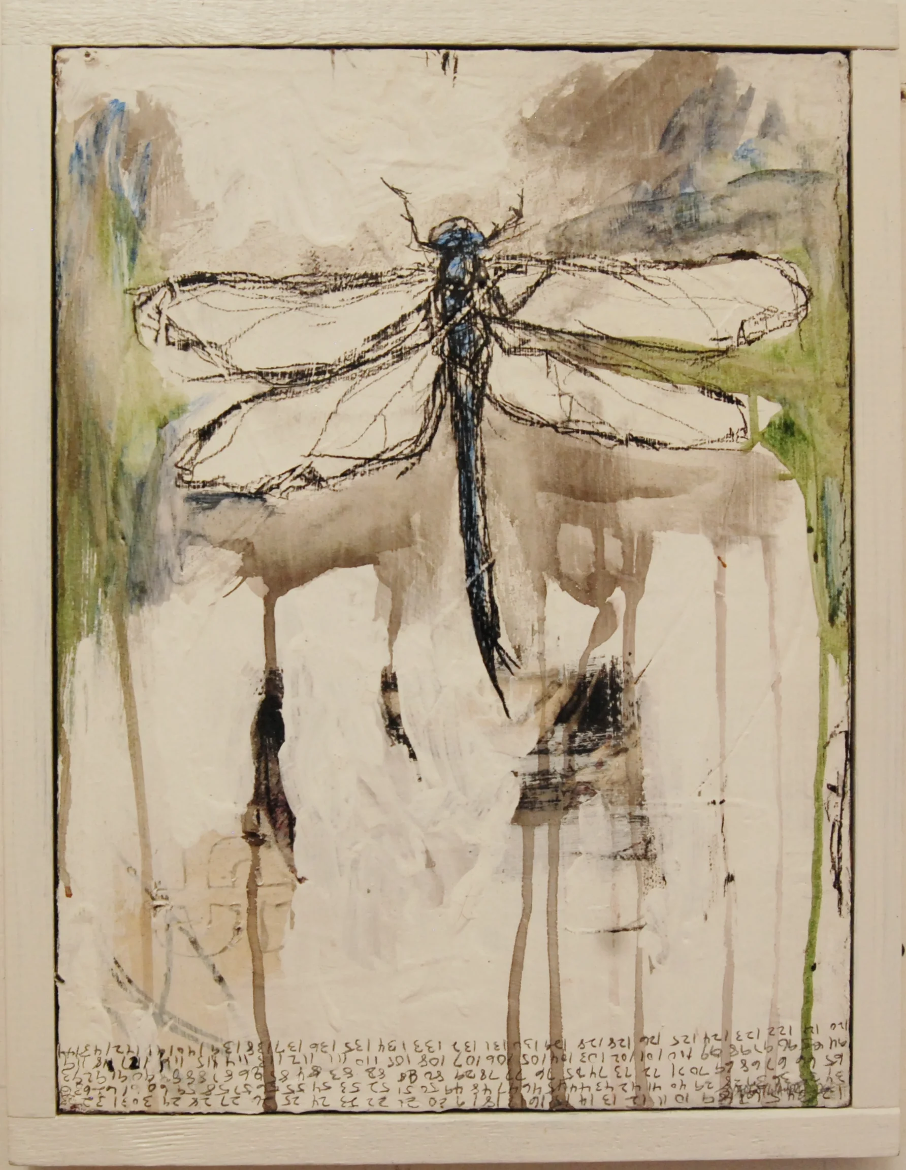 Drangonfly #3