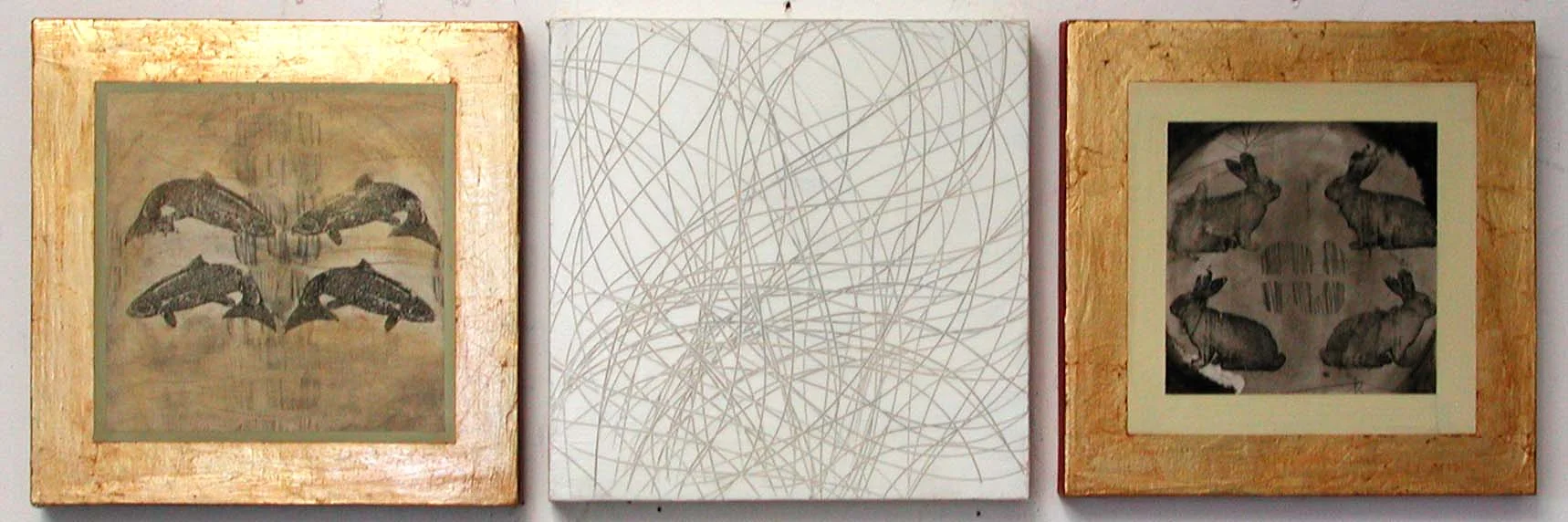 Image canvases with CCG canvas