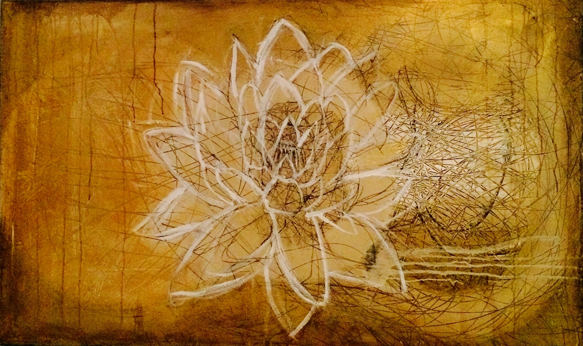 Golden with White Lotus *
