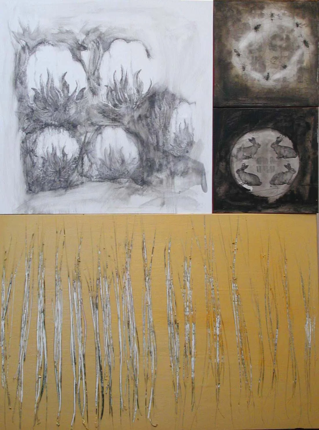 Cotton, Bees, Bunnies and Harvest