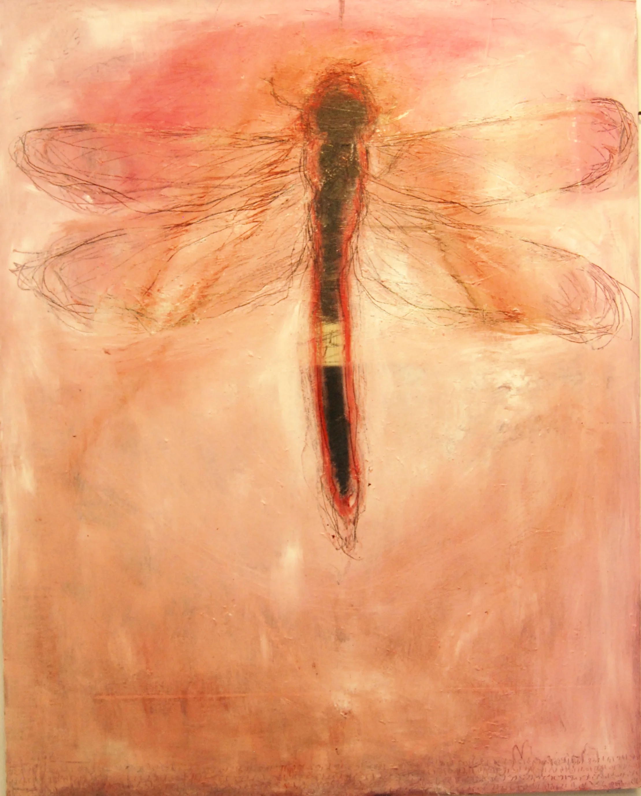 pink dragonfly 60x48.JPG
