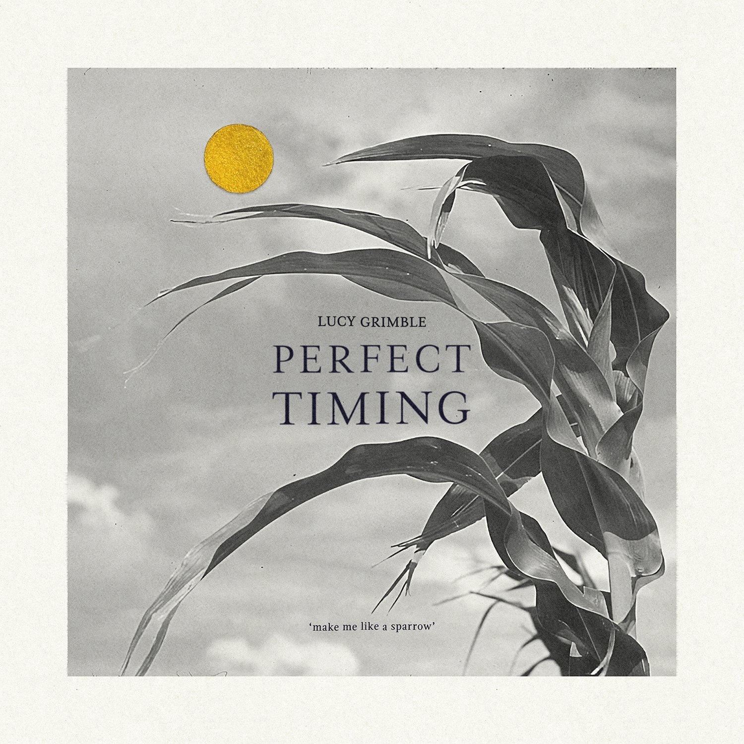Perfect Timing - Lucy Grimble
