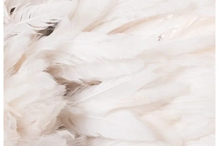 EWFModern_headdress_WEB03.jpg