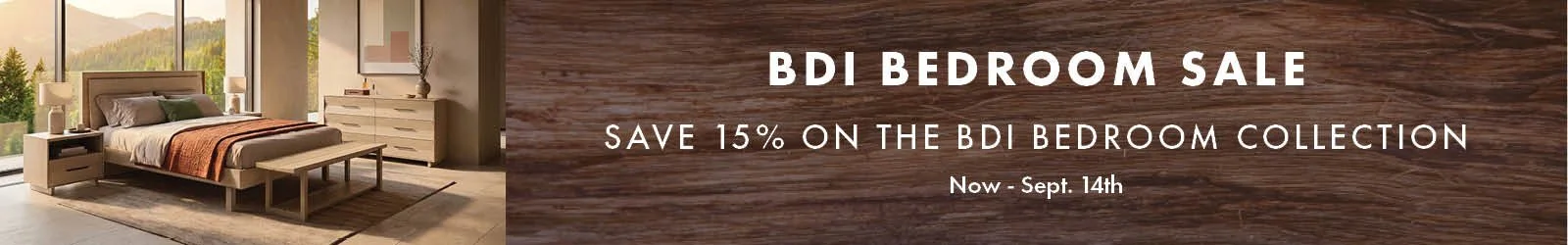 2026-BDI_WebBanners.jpg