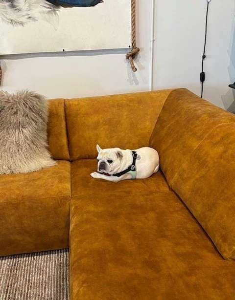 It's the first day of fall, and we are all ready to snuggle in around here. 

#portlandoregon #EWFModern #portlandfurniture #interiordesign #interiormodernorganic