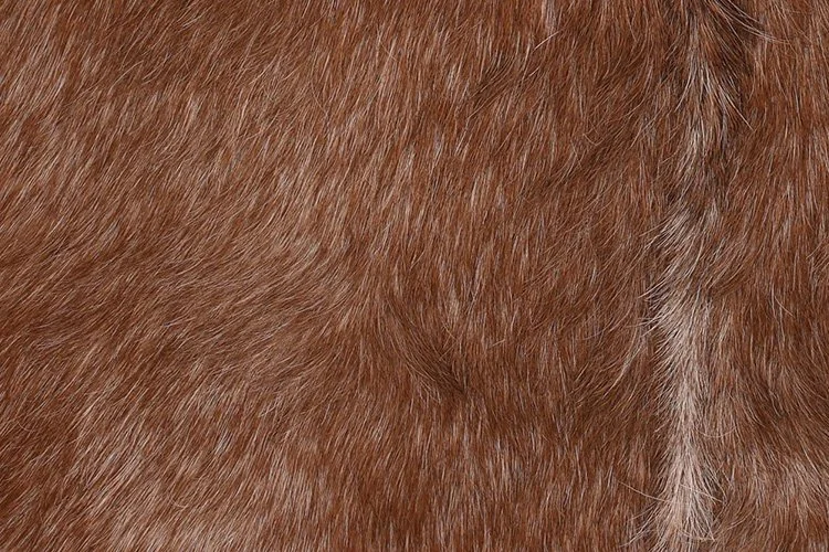EWFModern-naela_accent_chair_3562_WEB04.jpg