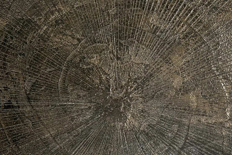 EWFModern_slice_coffee_table_3816_WEB03.jpg