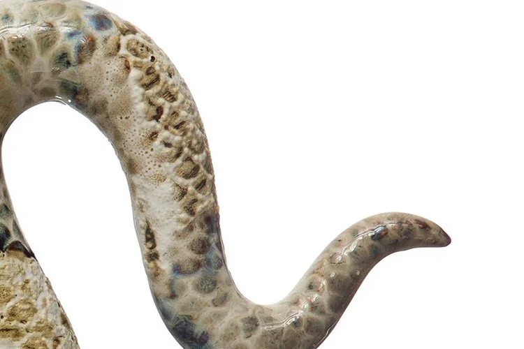 EWFModern_stoneware_snake_1209_WEB01.jpg