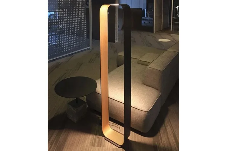 EWFmodern_FloorLamp_4479_ls_WEB+(1).jpg