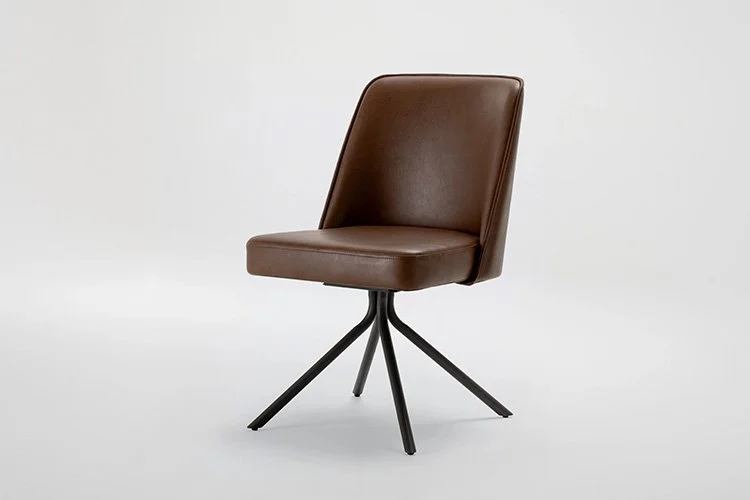 EWFModern_eva_dining_chair_9525_WEB02.jpg