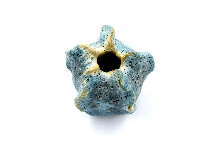 EWFModern_luffa_1362_WEB01.jpg