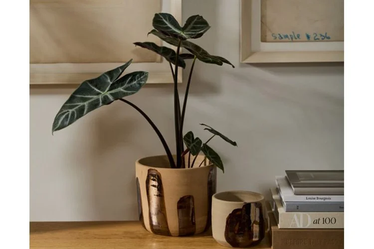 EWFMdern_brushstroke_vase_14538_WEB05.jpg