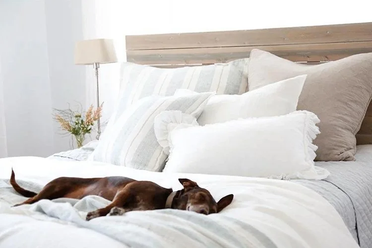 EWFmodern_Blanket 1658_WEB01.jpg