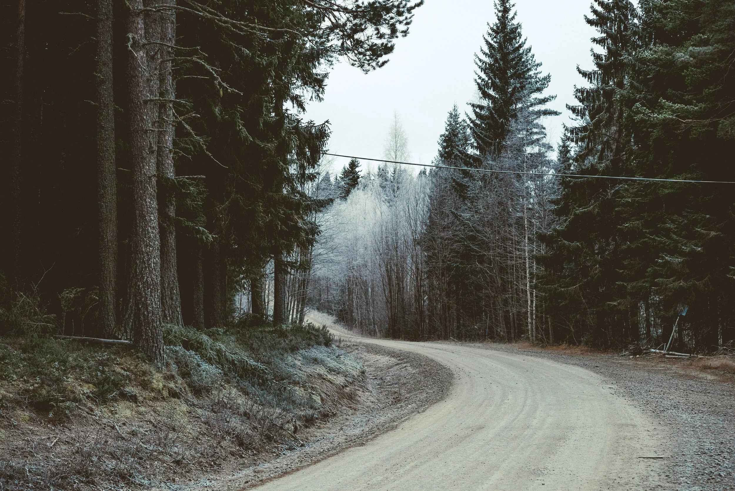 4_Swedish New Year_074.jpg