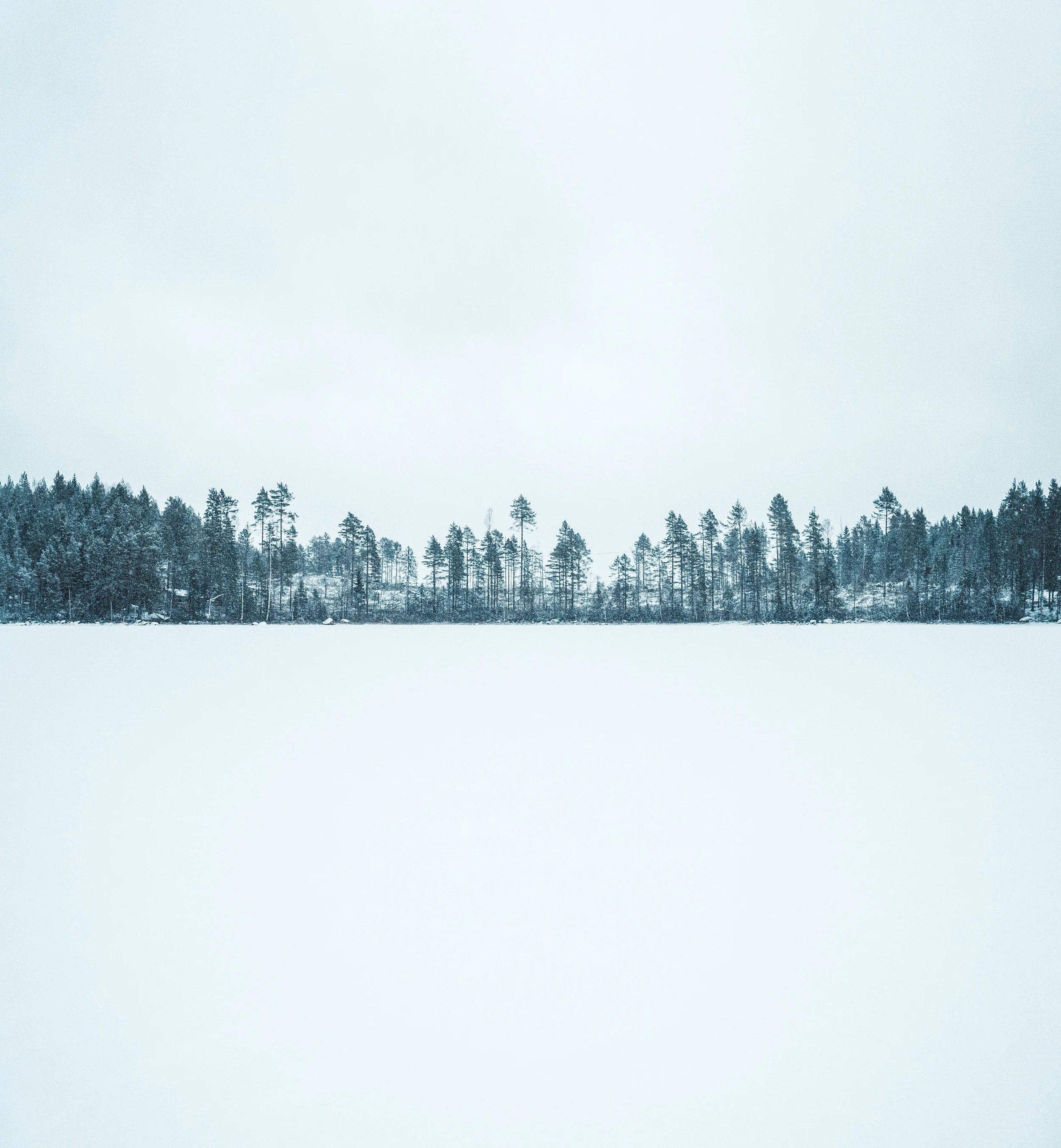 42_0102_Swedish New Year_296-Edit.jpg
