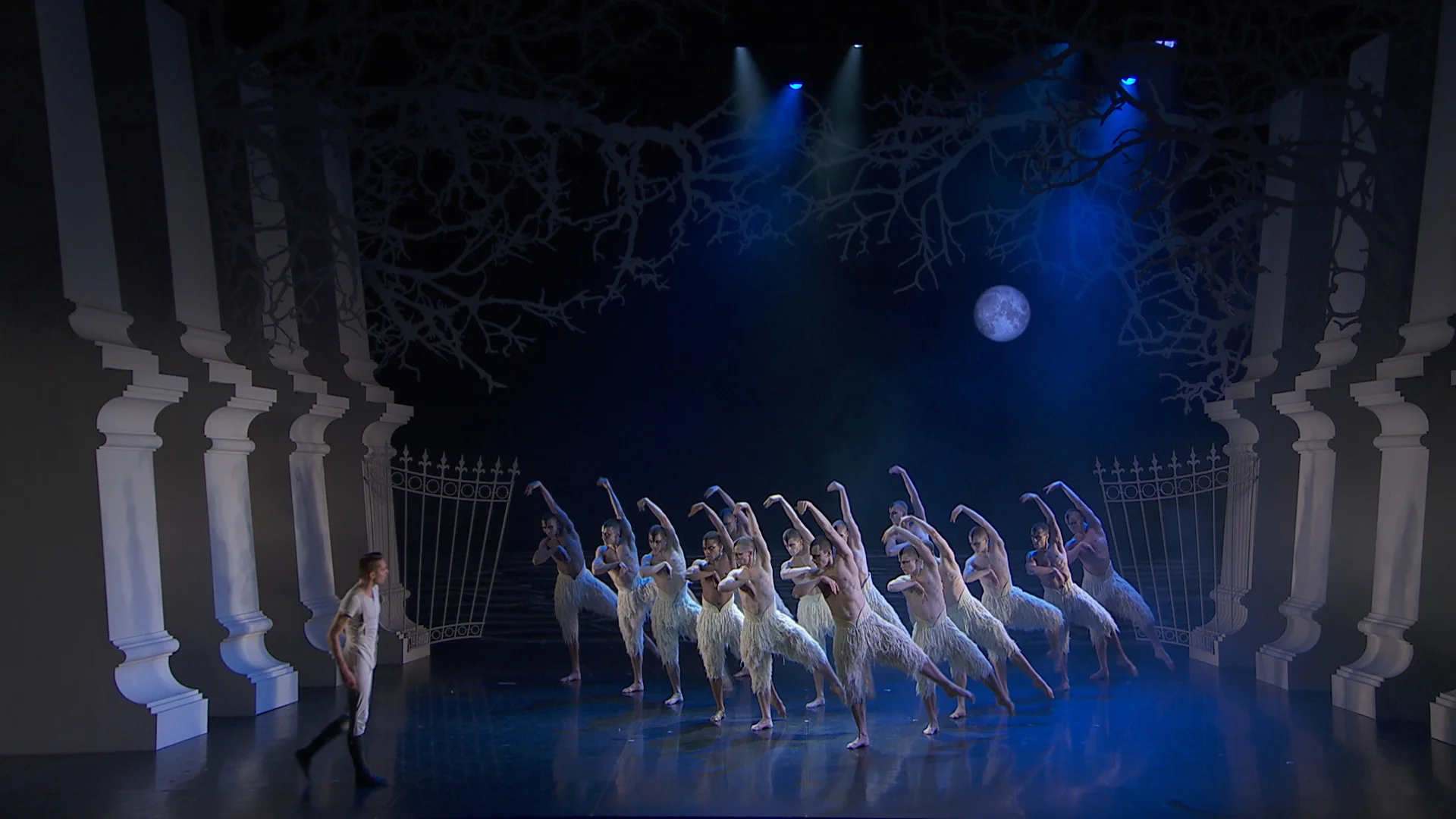 190227_Swan Lake_Cinema TRAILER_2CH_WEBSITE.00_00_07_19.Still003.jpg