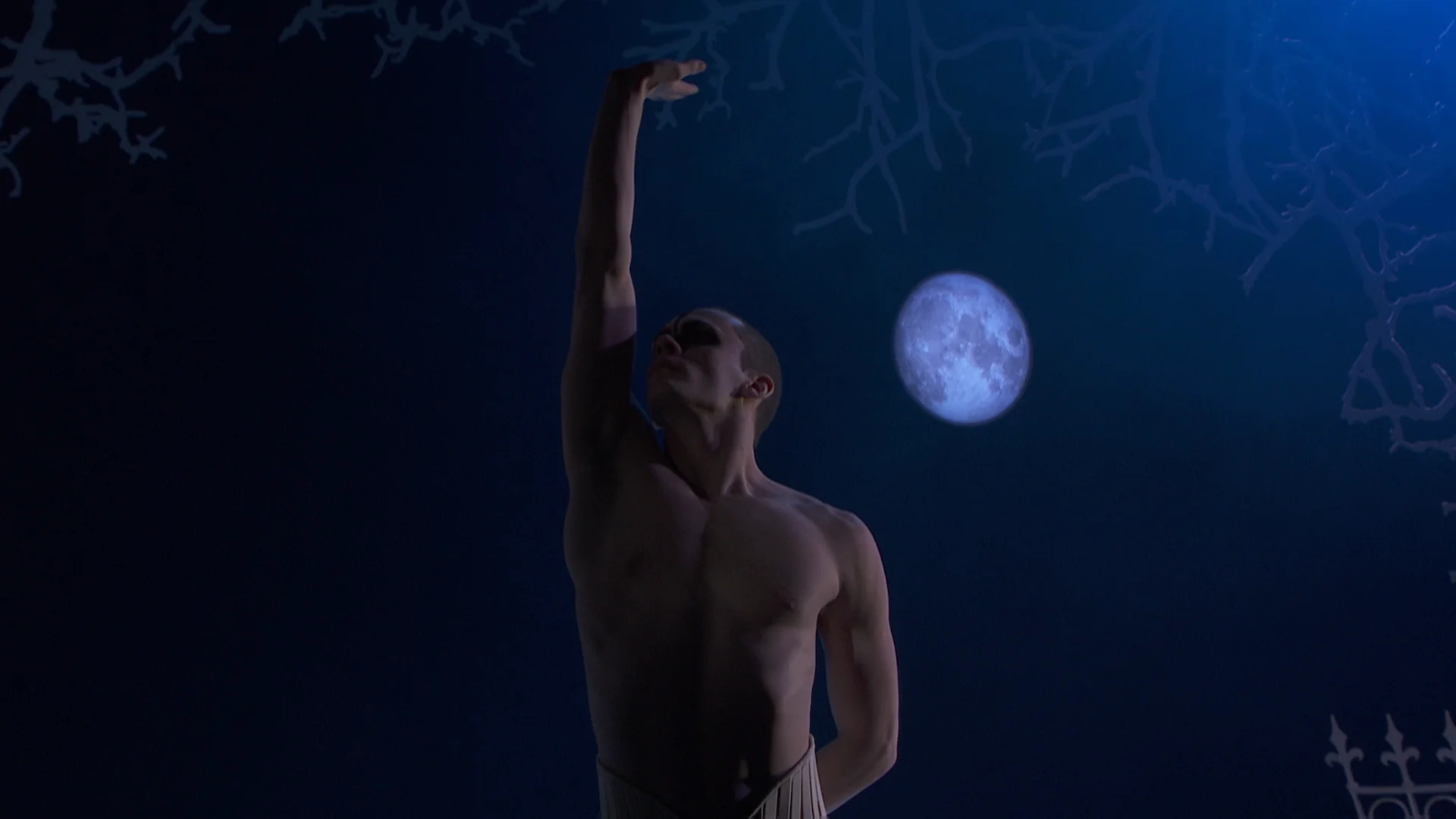 190227_Swan Lake_Cinema TRAILER_2CH_WEBSITE.00_00_03_24.Still002.jpg