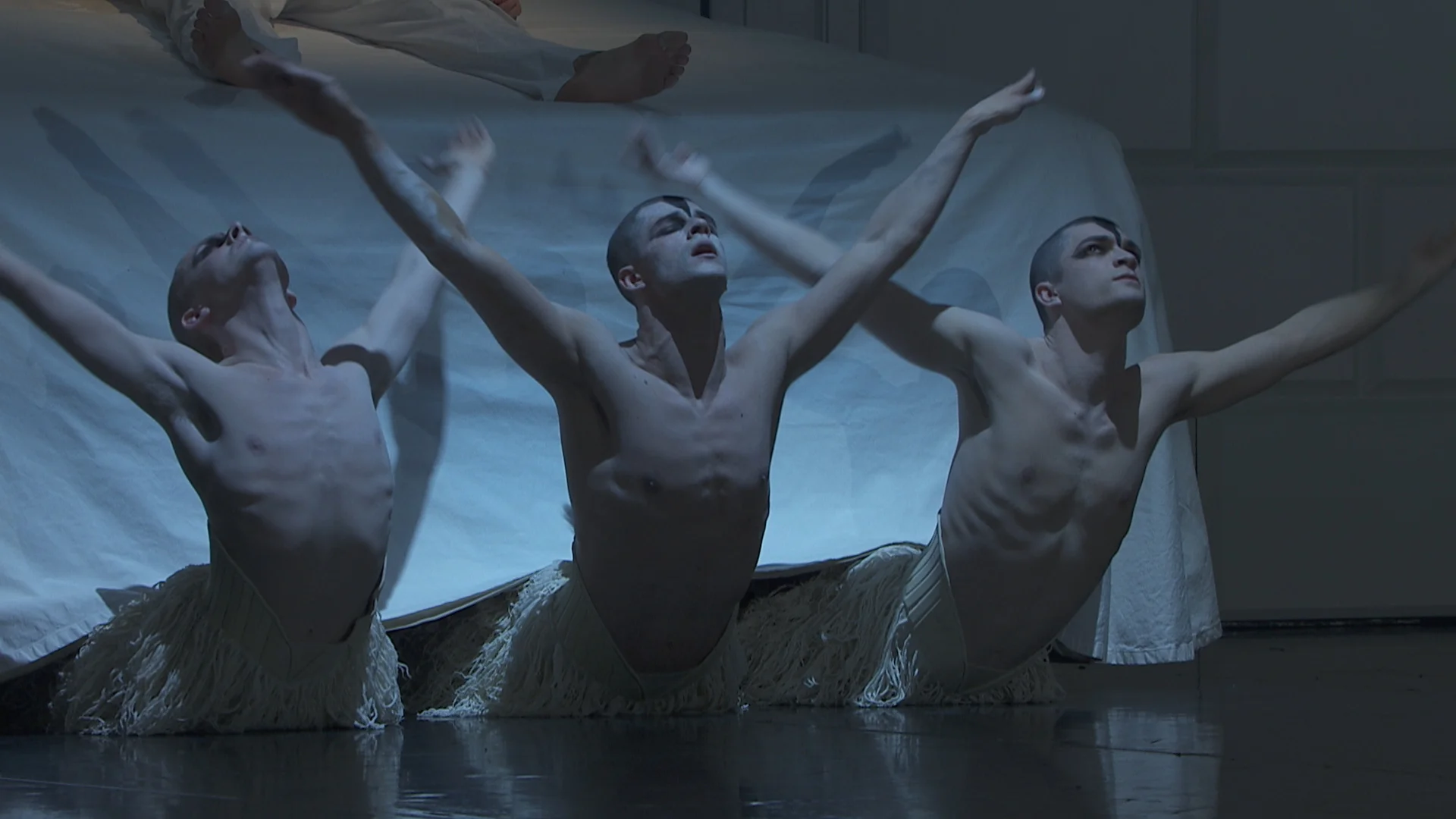 190227_Swan Lake_Cinema TRAILER_2CH_WEBSITE.00_00_28_22.Still007.jpg