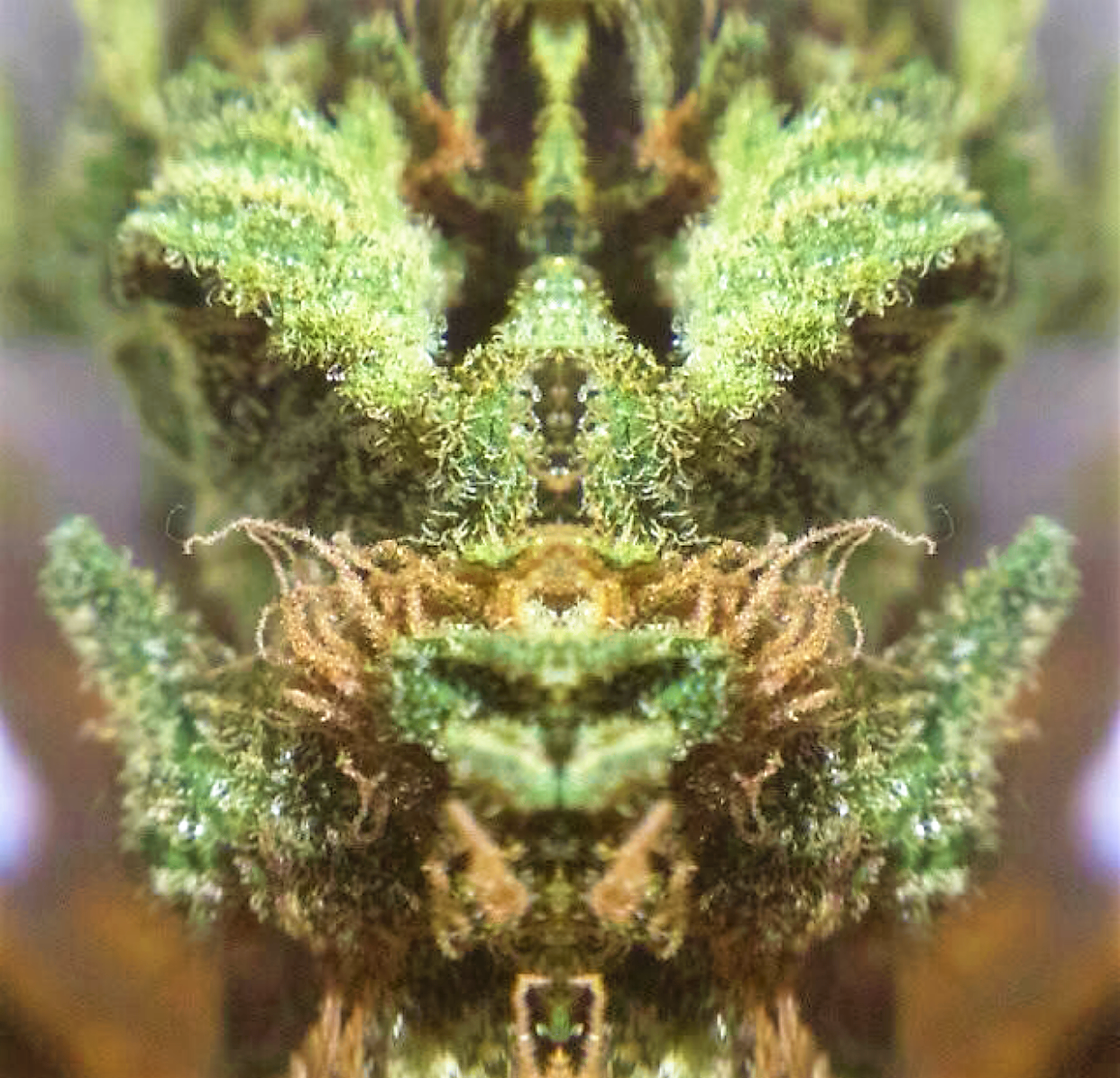 2015-01-03 10.19.06.png
