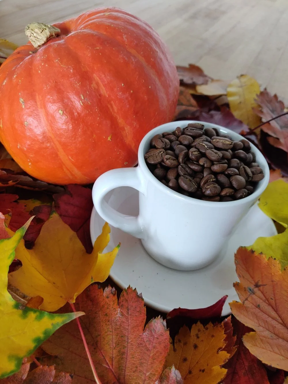 November's Coffee of the Month : Harvest Roast