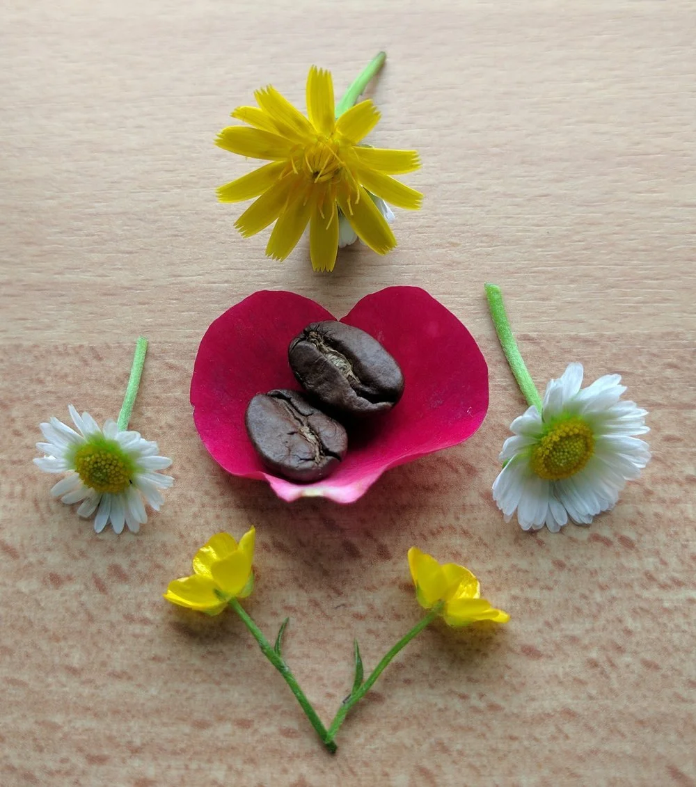 May's Welcome Coffee: Springtime Twist