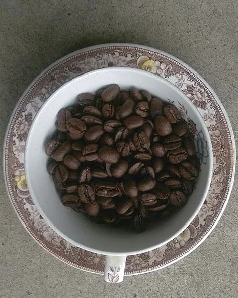 Independence, Revolutionary America and Coffee (also Holiday Hours)