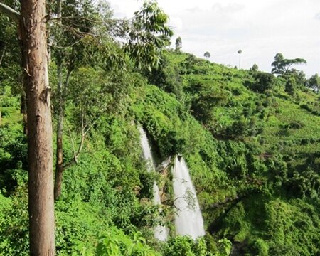 Spotlight on...Organic Uganda Sipi Falls